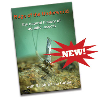 Bugs of the Underworld