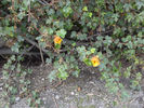Stevens-Creek-004.jpg