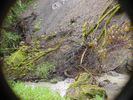 Stevens-Creek-Erosion-014.jpg