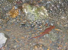 Upper-SC-County-Park.jpg