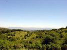Pichetti-Ranch-004.jpg