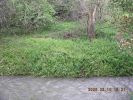 vinca-patch.JPG
