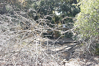 spcwc061.JPG